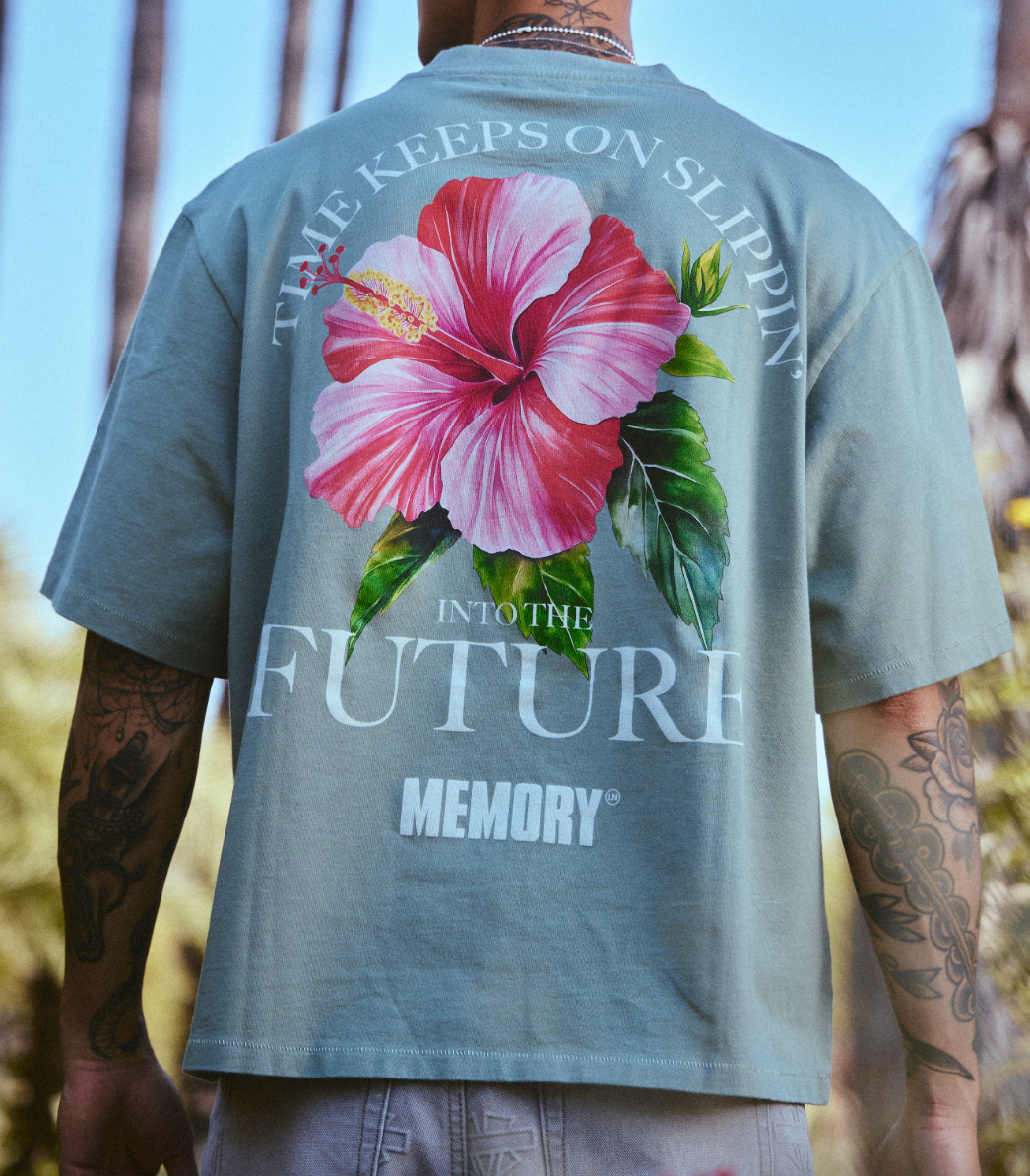 Memory Lane Slippin' Crop Tee Sage