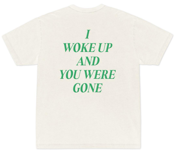 Please Come Home Gone Tee Off White / Pine