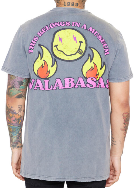 Valabasas I Am Art Tee Vintage Grey