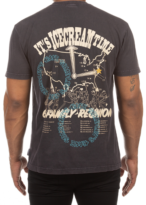 Icecream Family Reunion SS Tee Shale