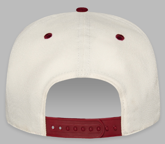 Paper Planes Small World Colorblock Snapback Cabernet