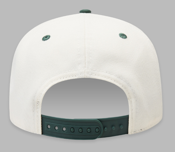 Paper Planes Scripted Snapback Vapor