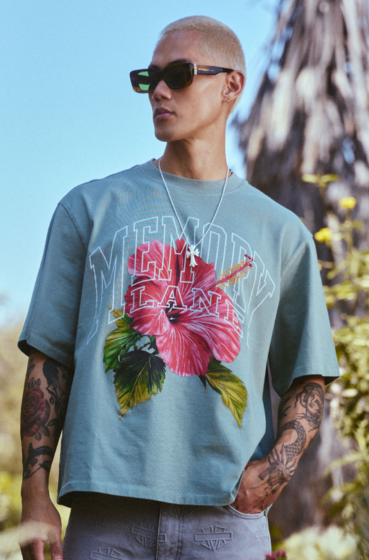 Memory Lane Slippin' Crop Tee Sage
