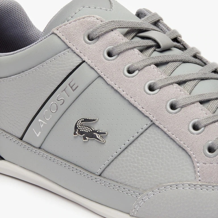 Lacoste grey  Sneakers Chaymon