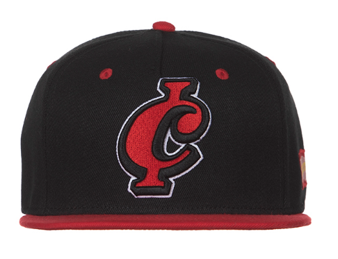 Icecream Make Sense Snapback Hat