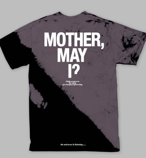 Paper Planes Mother May I Tee