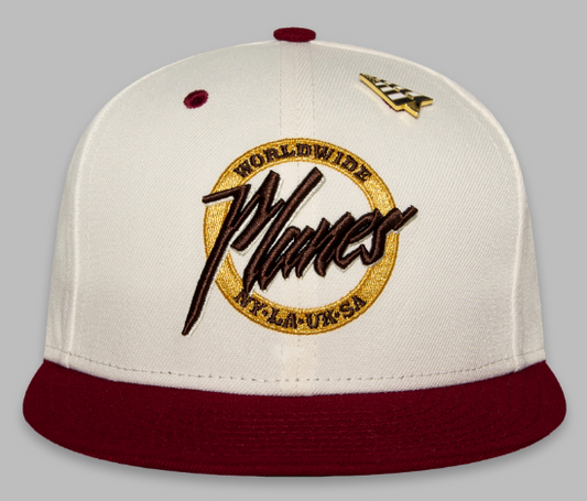 Paper Planes Small World Colorblock Snapback Cabernet