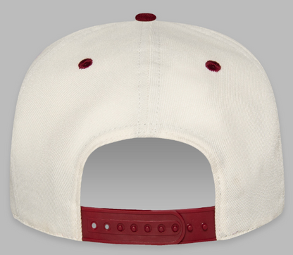 Paper Planes Small World Colorblock Snapback Cabernet